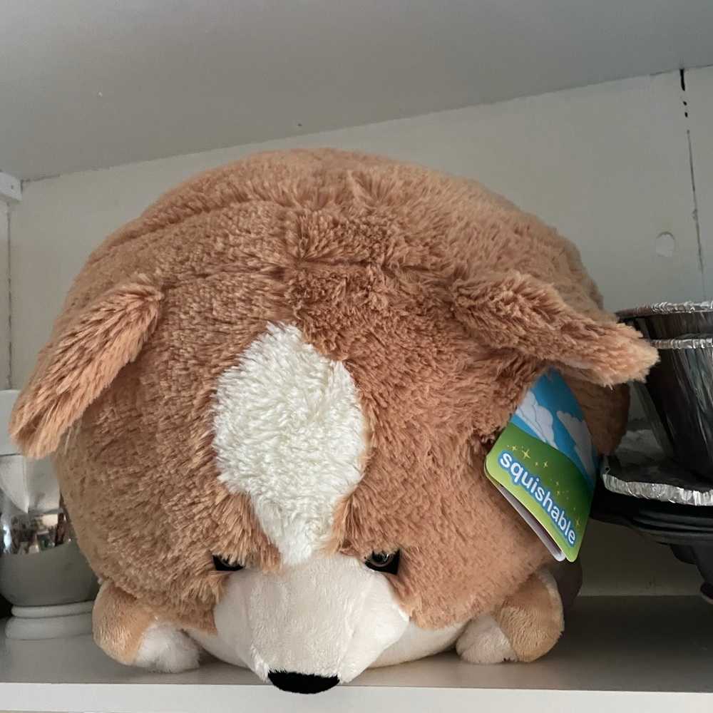 COPY - Corgi squishable